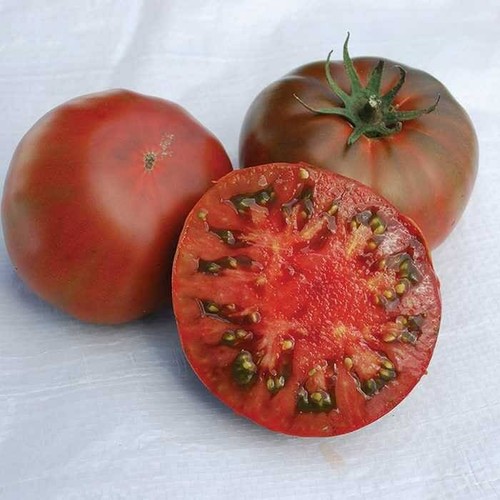 Tomate brauner zucker aus - brauner,