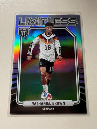 Panini 2026 intl - dfb, pick