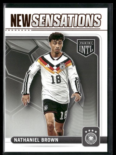 Panini 2026 intl dfb - panini,